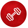gym 1 gym 1